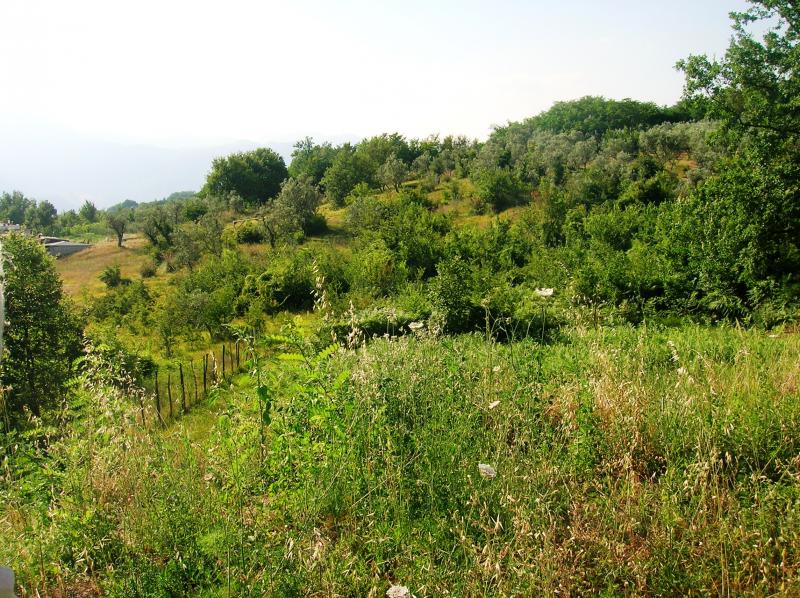 vendita Terreno Cervaro 0 1700 M� 30.000 &euro;