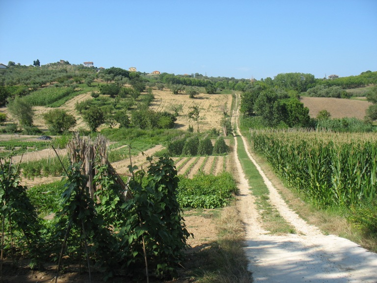 vendita Terreno Spoltore 0 3500 M� 40.000 &euro;