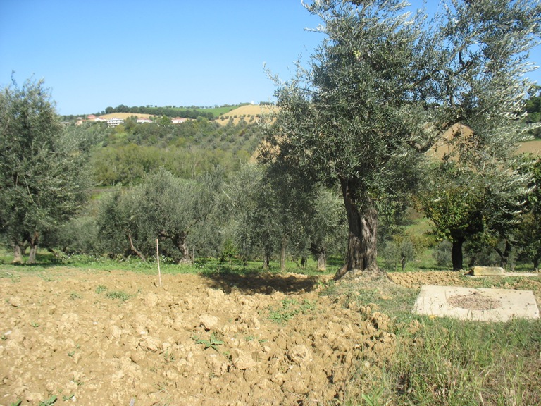 vendita Terreno Spoltore 0 12000 M� 110.000 &euro;