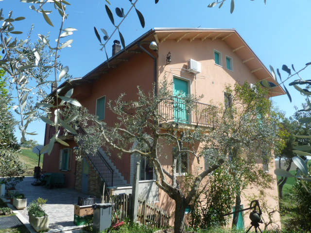 vendita Licenza Commerciale Acquaviva Picena 0 700 M� 500.000 &euro;