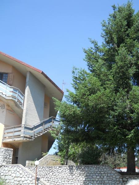 vendita Appartamento Cotronei 5 90 M� 70.000 &euro;