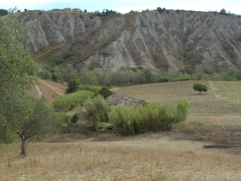 Rustico - Cascina APPIGNANO DEL TRONTO vendita    DORIANO RUBICINI