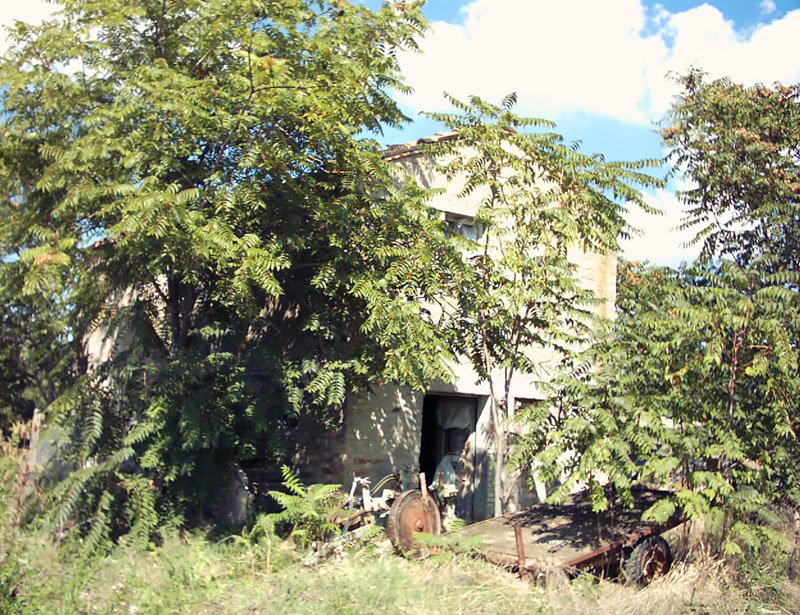 Rustico - Cascina MONTEDINOVE vendita    DORIANO RUBICINI
