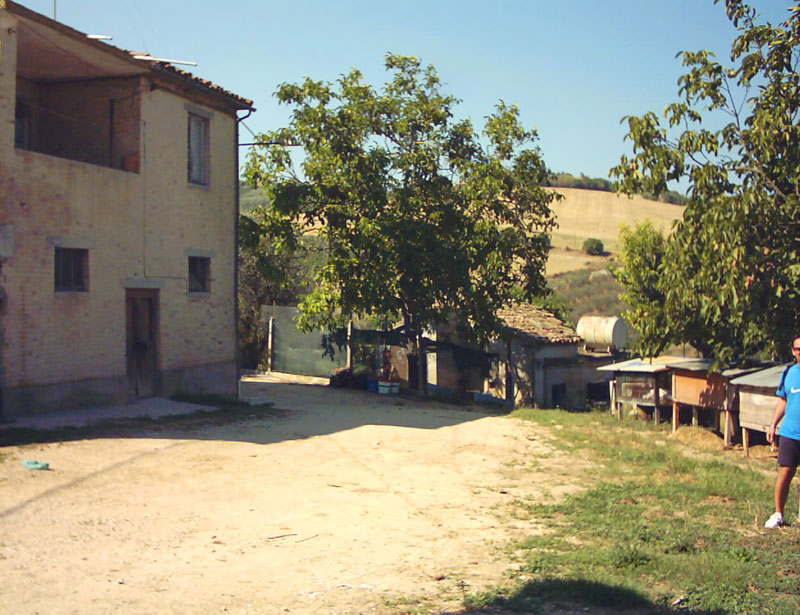 Rustico - Cascina COLLI DEL TRONTO vendita    DORIANO RUBICINI