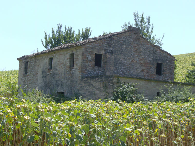 Rustico - Cascina CARASSAI vendita    DORIANO RUBICINI