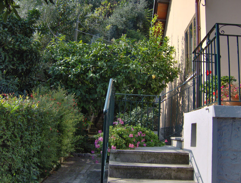 Villa Unifamiliare - Indipendente CUPRA MARITTIMA vendita    DORIANO RUBICINI