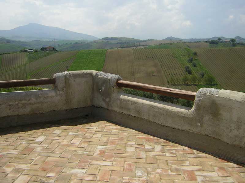 Rustico - Cascina COSSIGNANO vendita    DORIANO RUBICINI