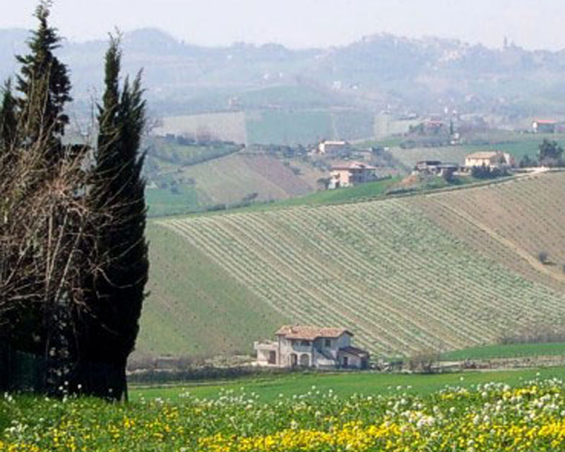  cossignano vendita quart:  doriano-rubicini