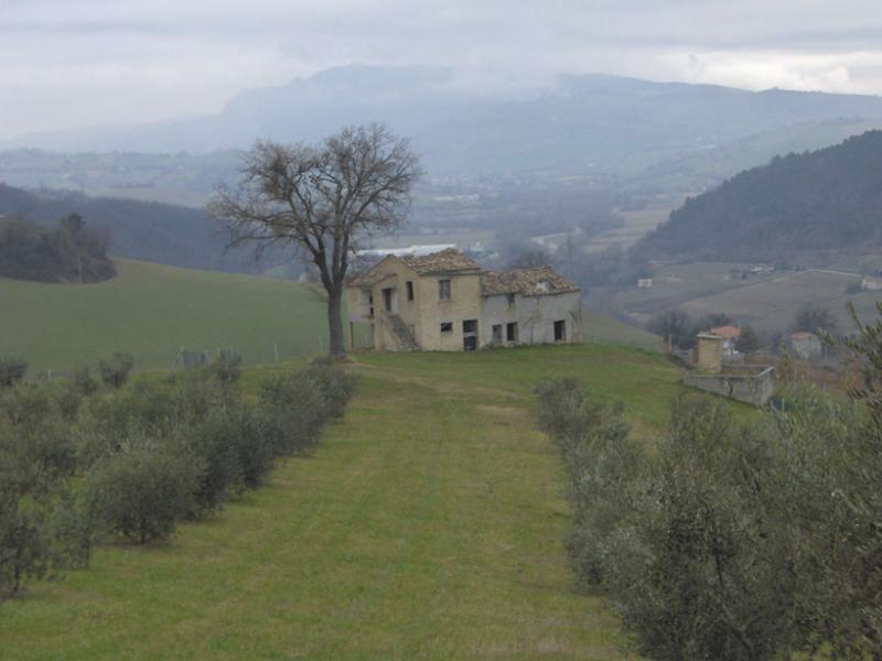 Rustico - Cascina MONTEDINOVE vendita    DORIANO RUBICINI