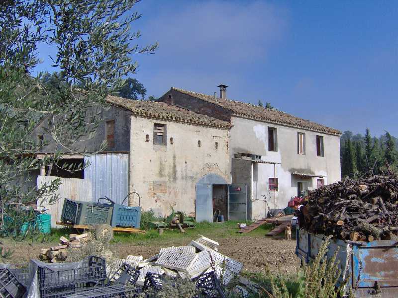 Rustico - Cascina CAMPOFILONE vendita    DORIANO RUBICINI