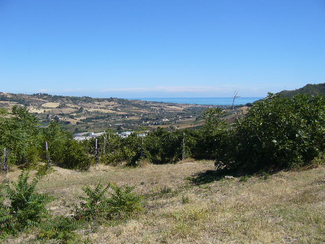 Rustico - Cascina RIPATRANSONE vendita    DORIANO RUBICINI