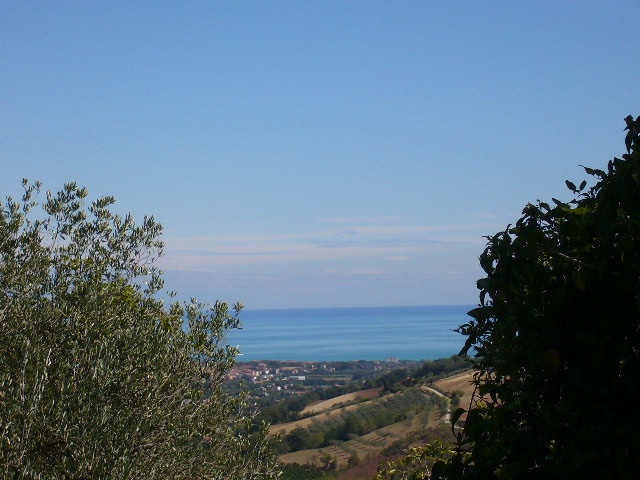 Rustico - Cascina RIPATRANSONE vendita    DORIANO RUBICINI