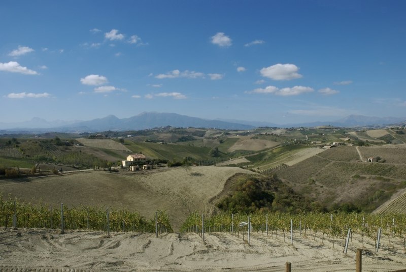 Rustico - Cascina ACQUAVIVA PICENA vendita    DORIANO RUBICINI