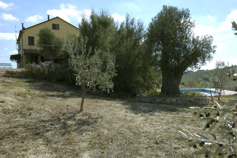 Rustico - Cascina ACQUAVIVA PICENA vendita    DORIANO RUBICINI