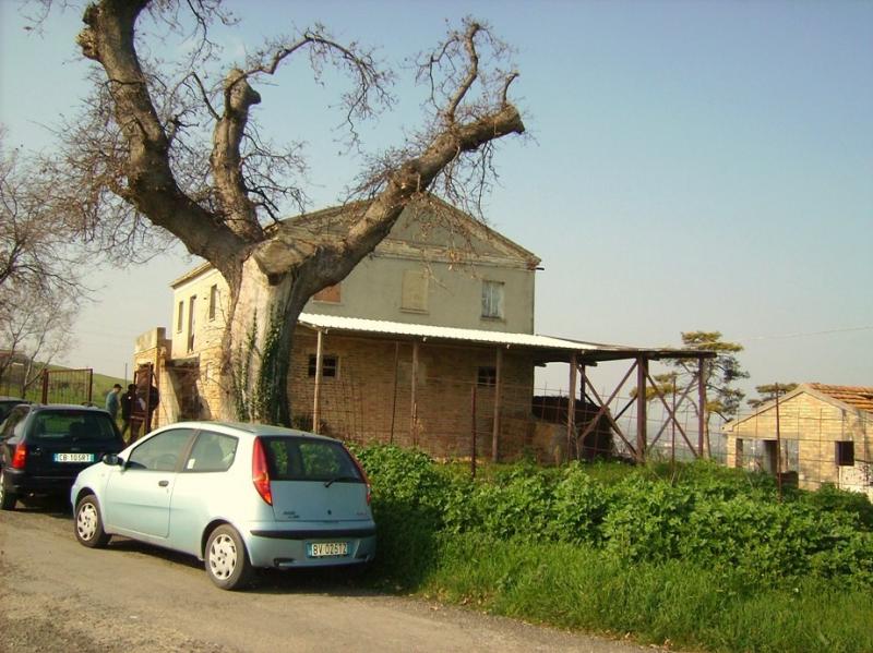 Rustico - Cascina POTENZA PICENA vendita    DORIANO RUBICINI