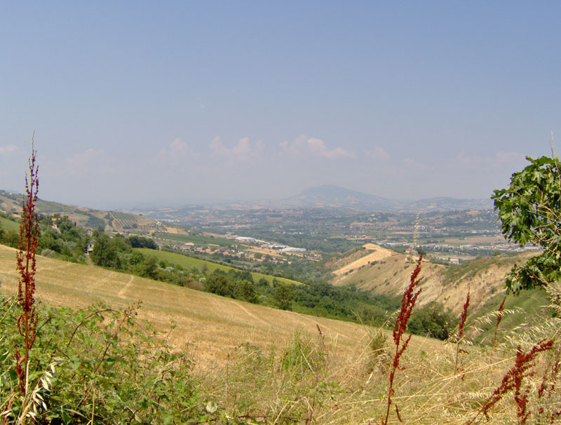 Rustico - Cascina CONTROGUERRA vendita    DORIANO RUBICINI