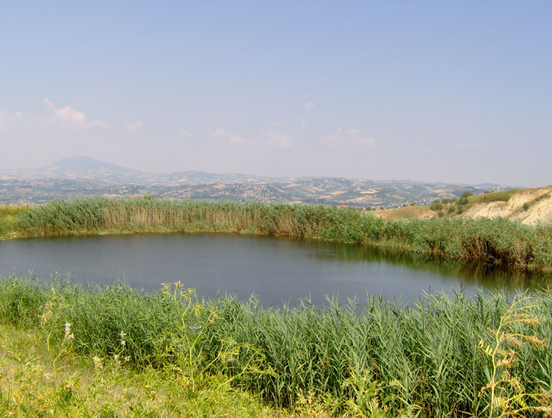 Rustico - Cascina CONTROGUERRA vendita    DORIANO RUBICINI