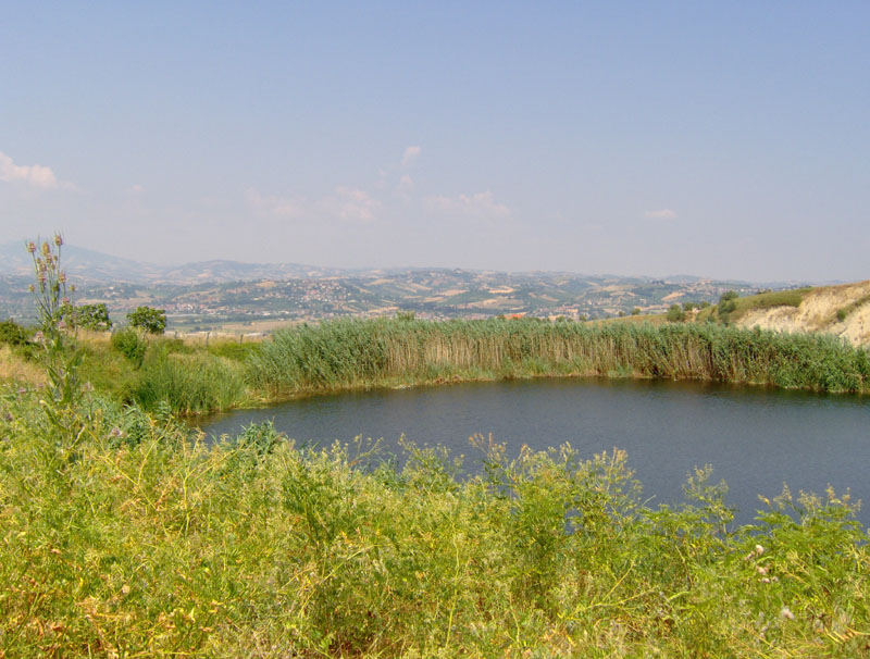 Rustico - Cascina CONTROGUERRA vendita    DORIANO RUBICINI