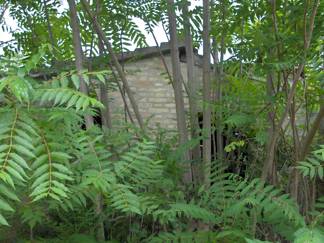 Rustico - Cascina PETRITOLI vendita    DORIANO RUBICINI