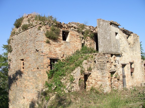 Rustico - Cascina MONTALTO DELLE MARCHE vendita    DORIANO RUBICINI