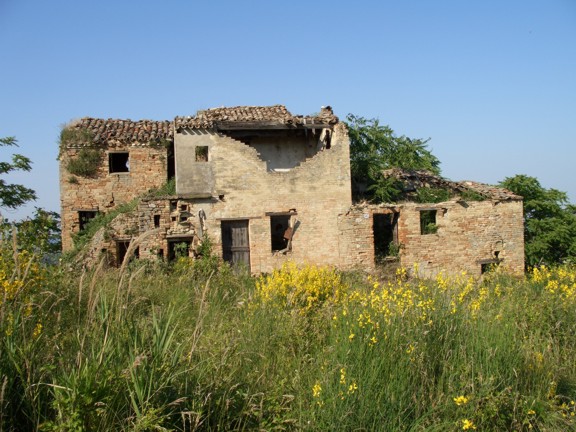 Rustico - Cascina MONTALTO DELLE MARCHE vendita    DORIANO RUBICINI