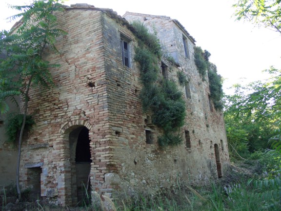 Rustico - Cascina MONTALTO DELLE MARCHE vendita    DORIANO RUBICINI