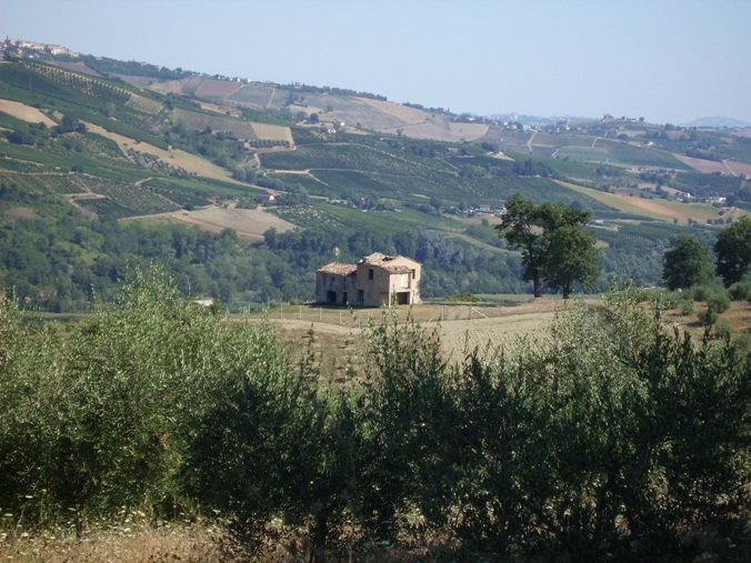  montedinove vendita quart:  doriano-rubicini