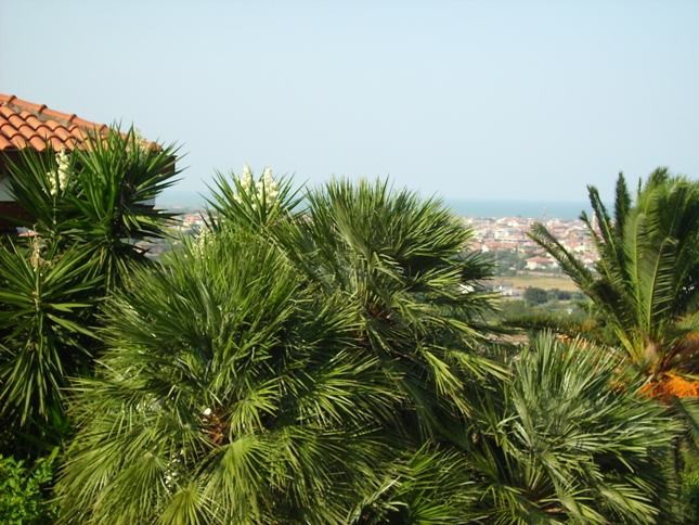 Villa MARTINSICURO vendita    DORIANO RUBICINI