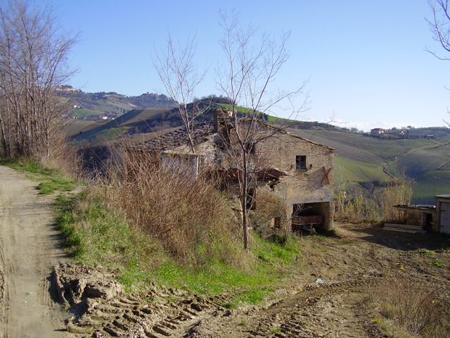  ripatransone vendita quart:  doriano rubicini