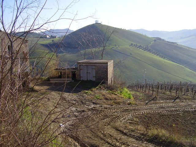 Rustico - Cascina RIPATRANSONE vendita    DORIANO RUBICINI