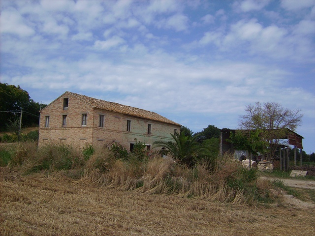 Rustico - Cascina ALTIDONA vendita    DORIANO RUBICINI