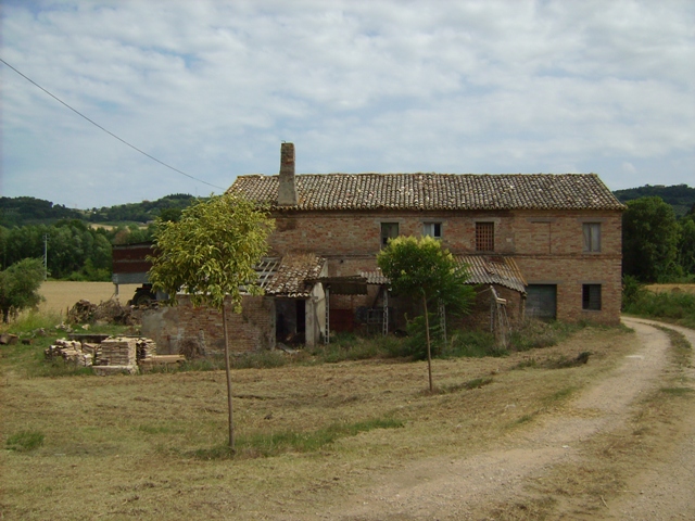 Rustico - Cascina ALTIDONA vendita    DORIANO RUBICINI