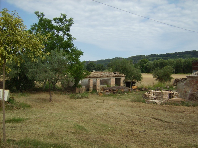 Rustico - Cascina ALTIDONA vendita    DORIANO RUBICINI