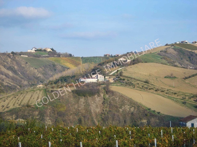 Rustico - Cascina RIPATRANSONE vendita    DORIANO RUBICINI