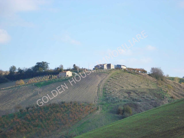 Rustico - Cascina RIPATRANSONE vendita    DORIANO RUBICINI