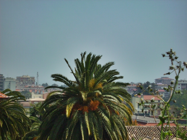 Appartamento SAN BENEDETTO DEL TRONTO affitto    DORIANO RUBICINI