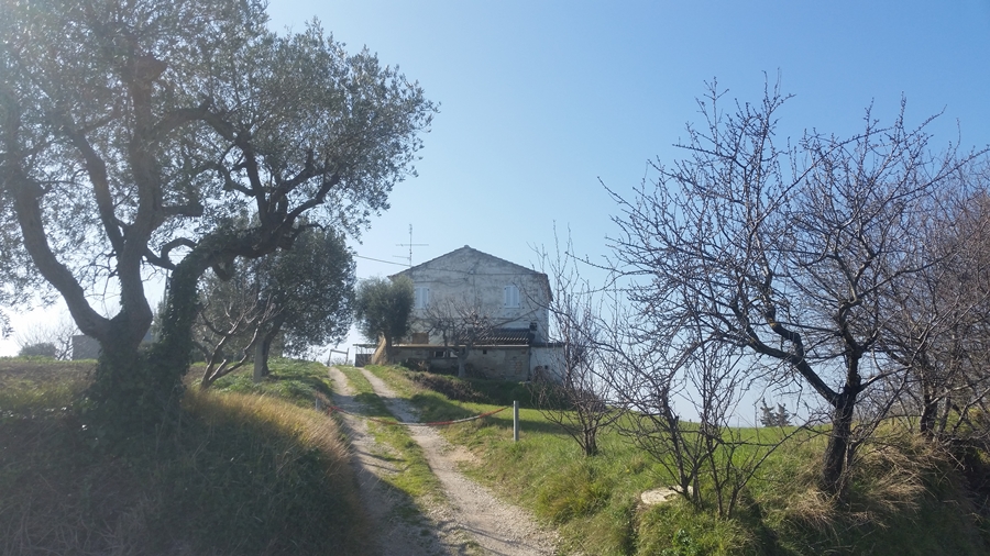  cupra marittima affitto quart:  doriano rubicini