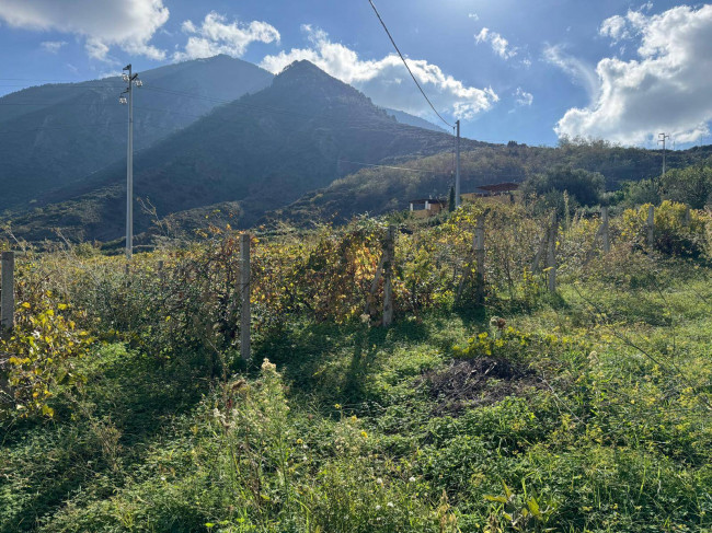 Terreno agricolo in vendita a Malfa (ME)