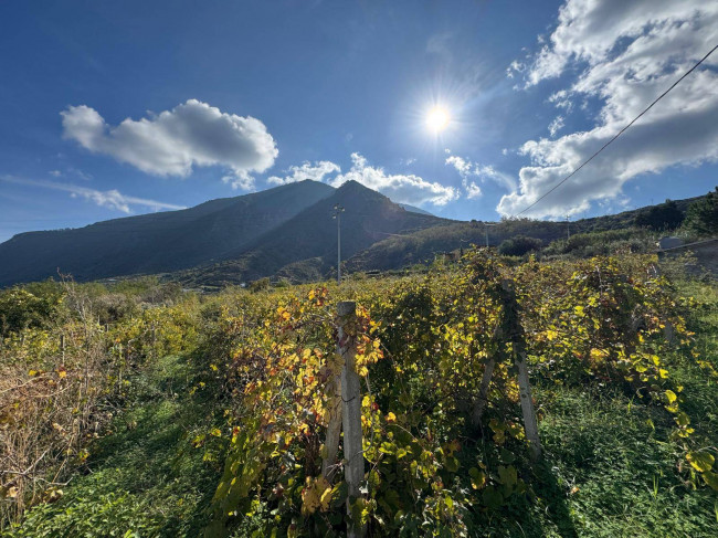 Terreno agricolo in vendita a Malfa (ME)