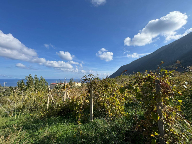 Terreno agricolo in vendita a Malfa (ME)