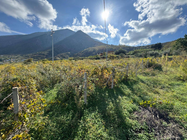 Terreno agricolo in vendita a Malfa (ME)