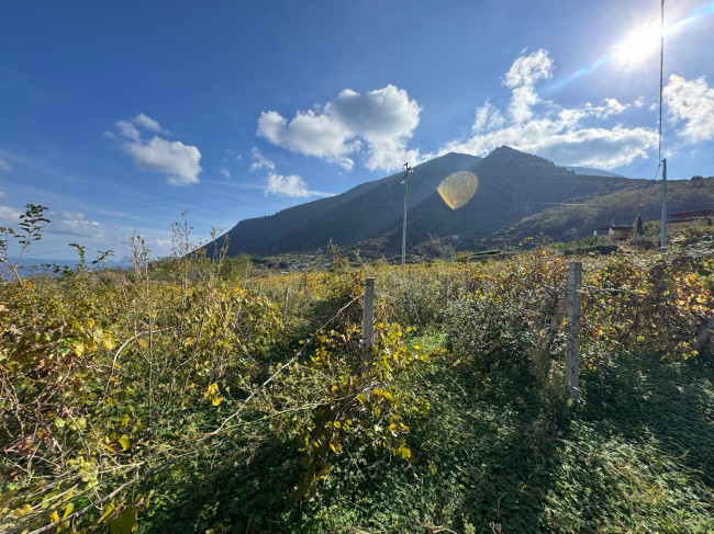 Terreno agricolo in vendita a Malfa (ME)