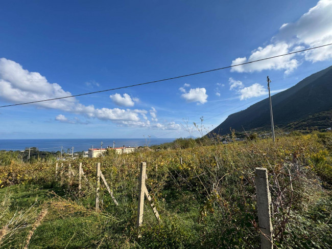 Terreno agricolo in vendita a Malfa (ME)