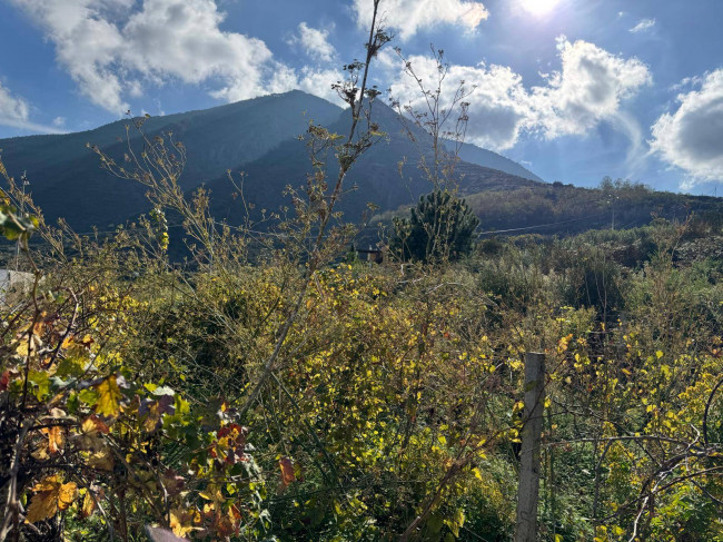 Terreno agricolo in vendita a Malfa (ME)