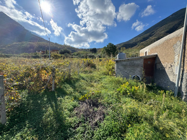 Vigneto in vendita a Malfa