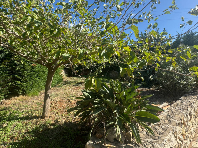 Villa Singola in affitto stagionale a Castellammare del Golfo