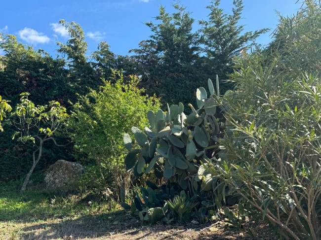 Villa Singola in affitto stagionale a Castellammare del Golfo