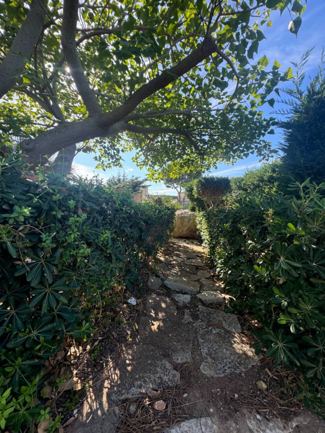 Villa Singola in affitto stagionale a Castellammare del Golfo