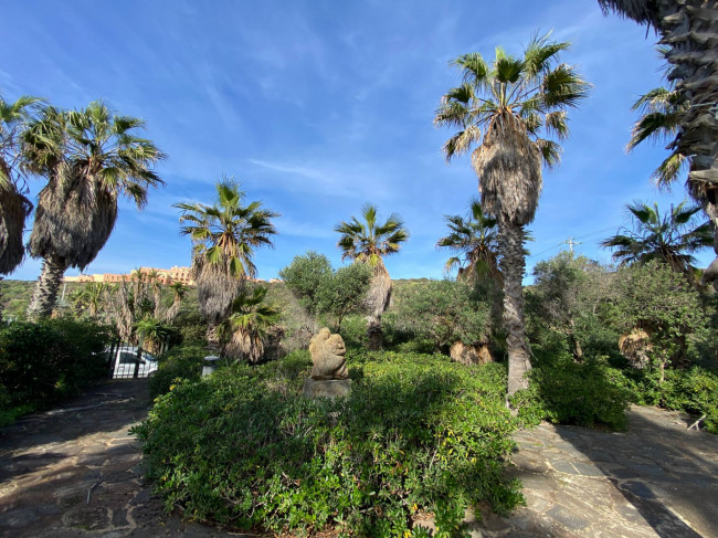 Locale commerciale in vendita a Pantelleria