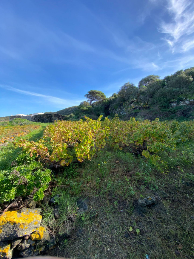 Dammuso in vendita a Pantelleria